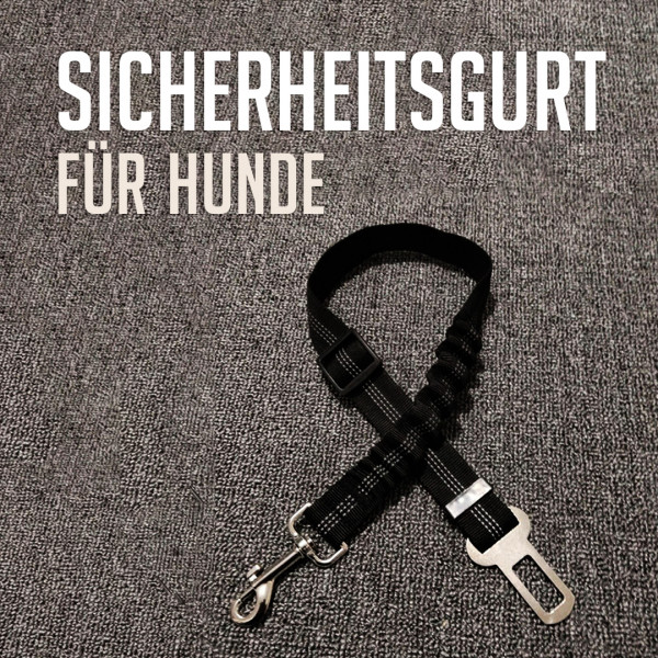 Auto-Sicherheitsgurt für Hunde